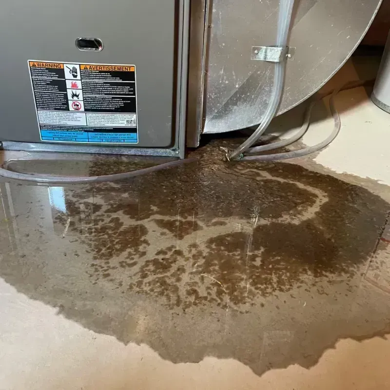 Appliance Leak Cleanup in Wadsworth, IL